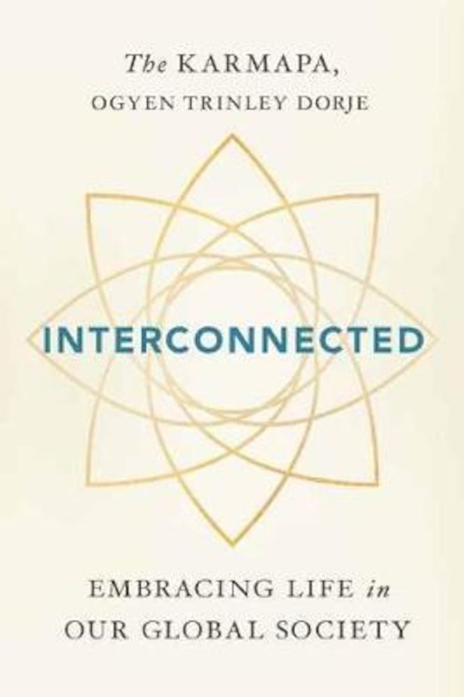 Interconnected fotografia produsului