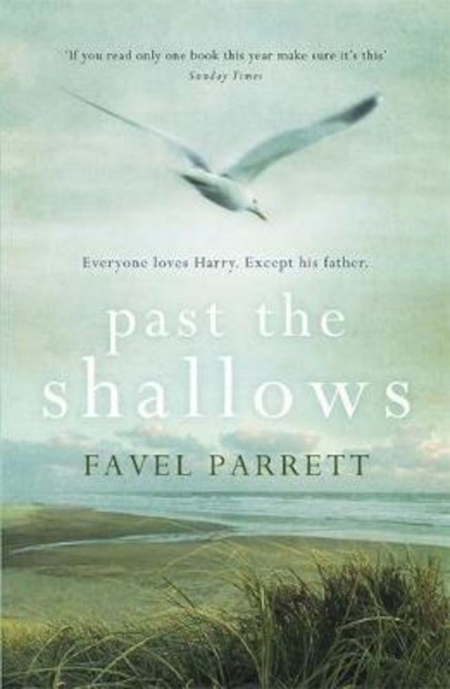 Past the Shallows fotografia produsului