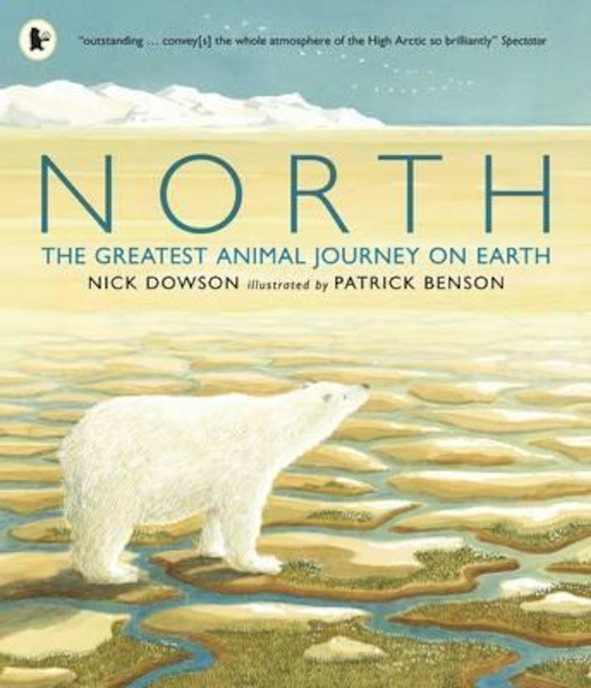 North, Paperback fotografia produsului