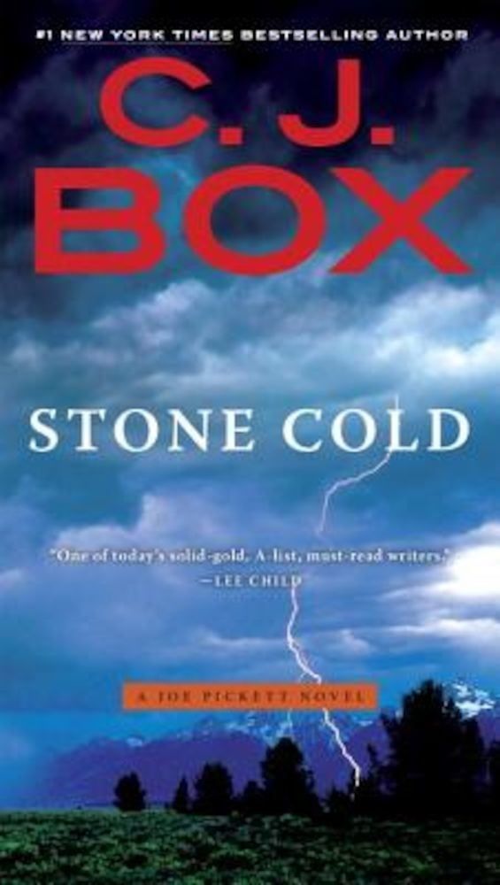 Stone Cold, Paperback фото продукта
