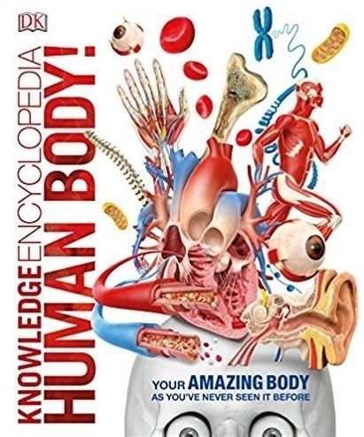 Knowledge Encyclopedia. Human Body fotografia produsului