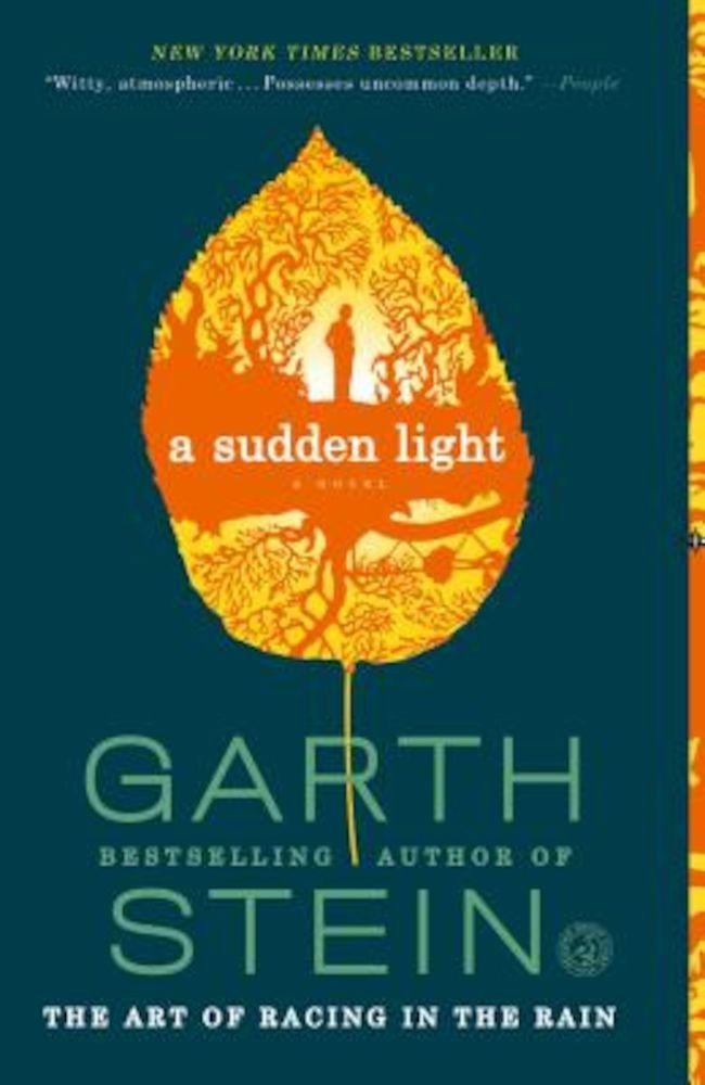 A Sudden Light, Paperback фото продукта