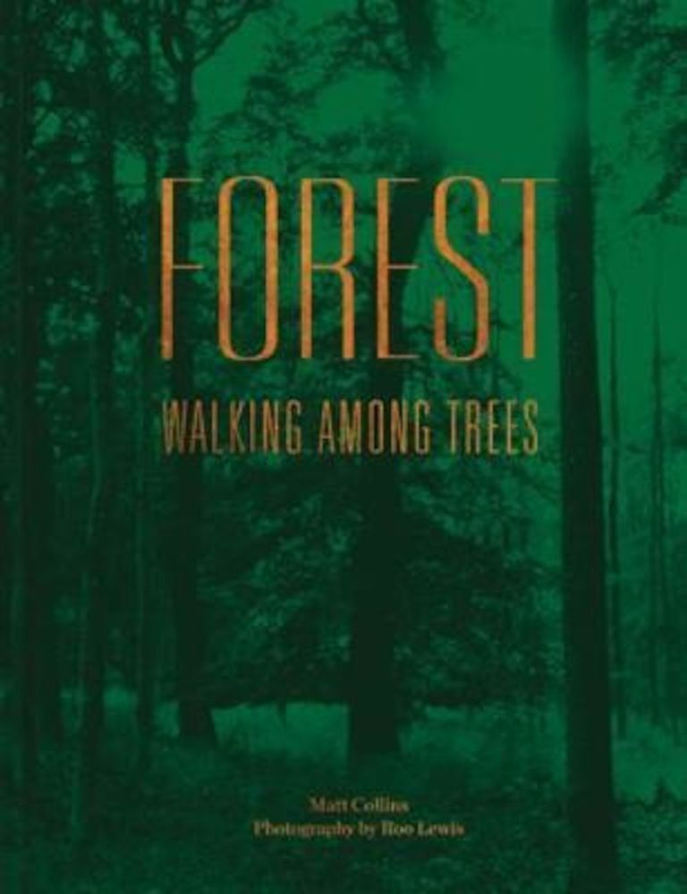 Forest фото продукта