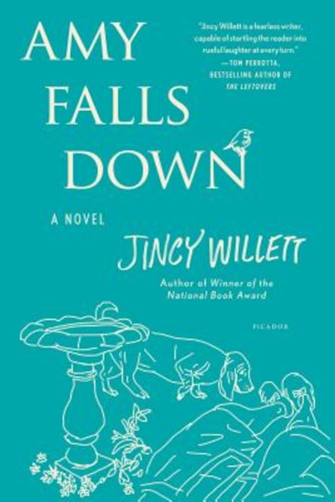 Amy Falls Down, Paperback фото продукта