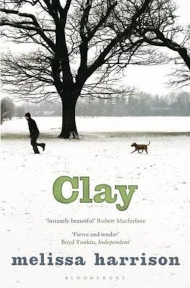 Clay, Paperback fotografia produsului