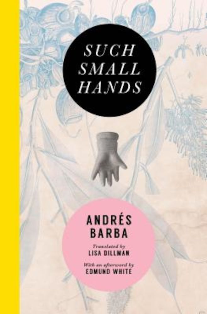 Such Small Hands, Paperback фото продукта