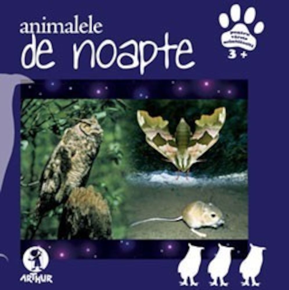 Animalele de noapte fotografia produsului
