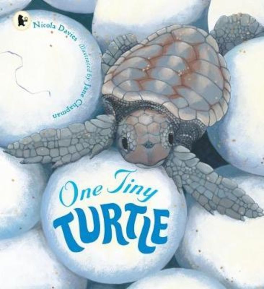 One Tiny Turtle, Paperback фото продукта