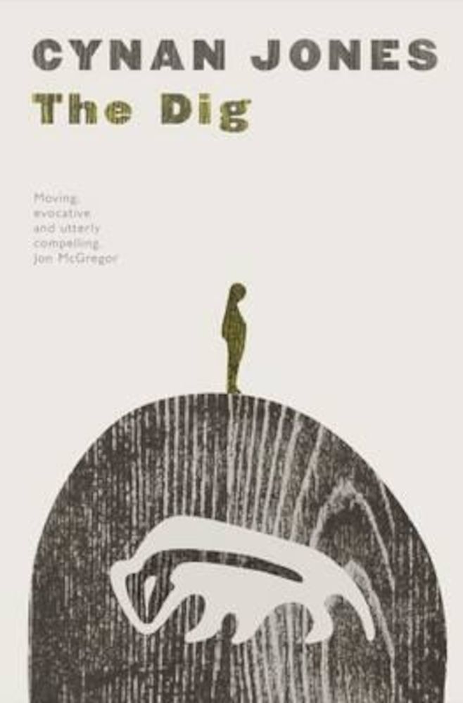 Dig, Paperback fotografia produsului