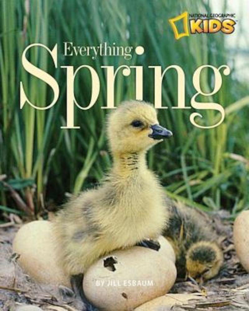 Everything Spring, Paperback фото продукта