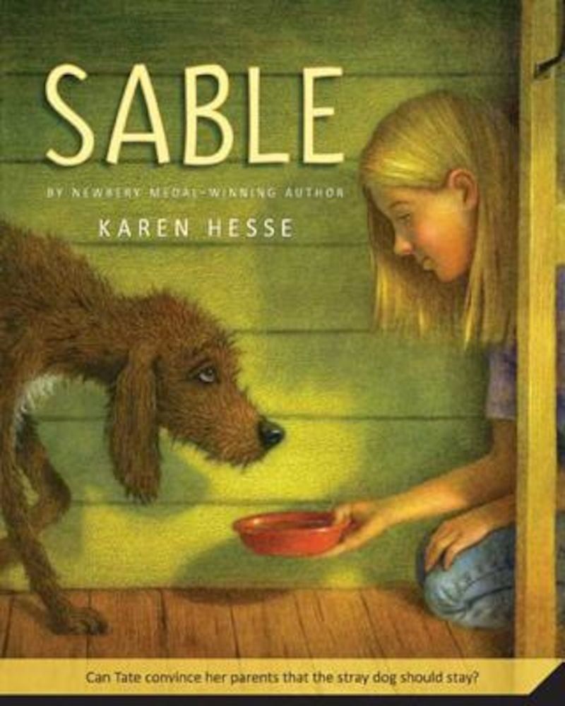 Sable, Paperback fotografia produsului