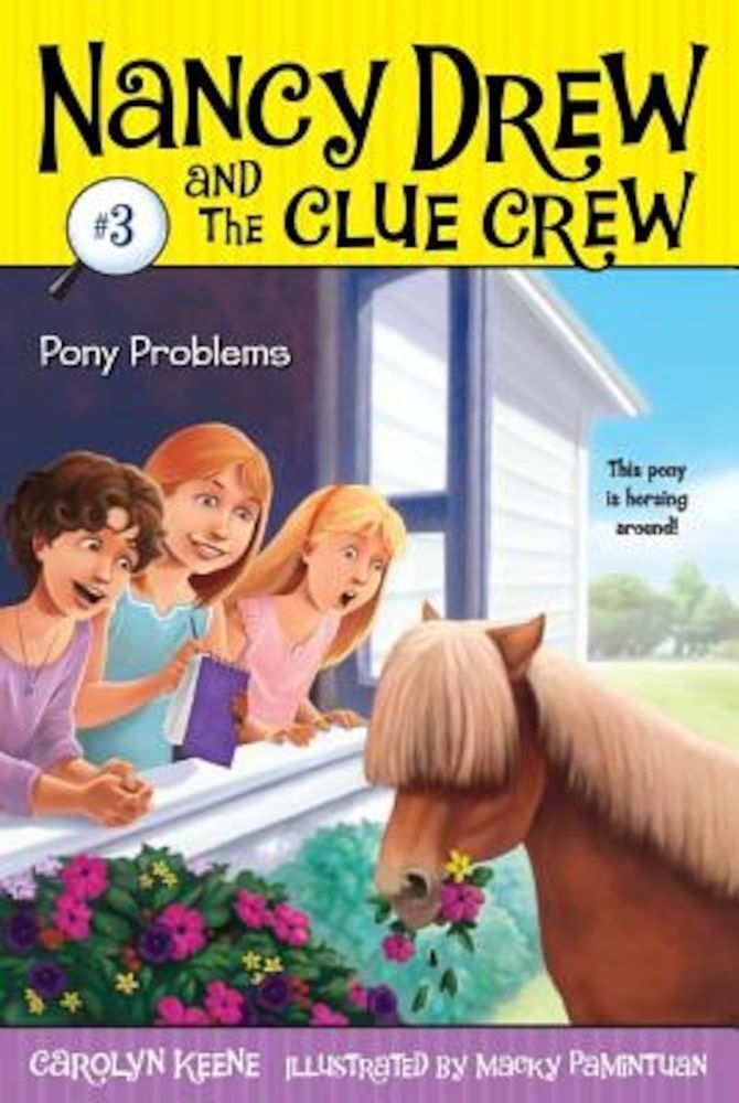 Pony Problems, Paperback фото продукта