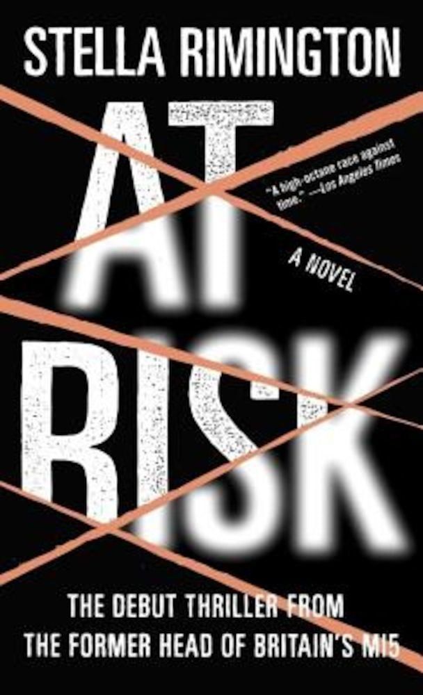 At Risk, Paperback фото продукта