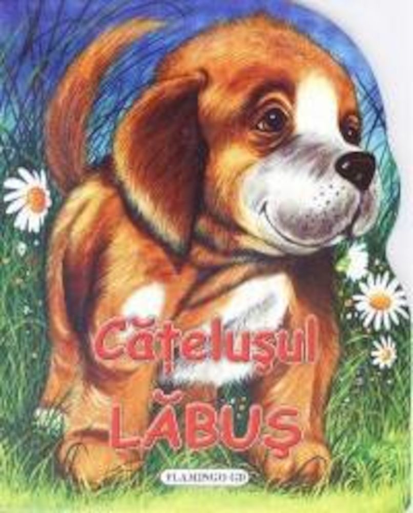 Catelusul Labus fotografia produsului
