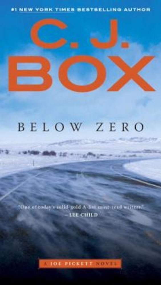 Below Zero, Paperback фото продукта
