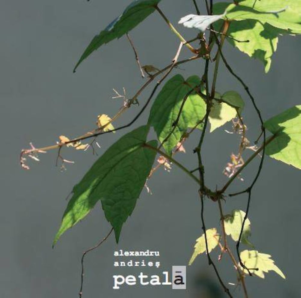 Petala fotografia produsului