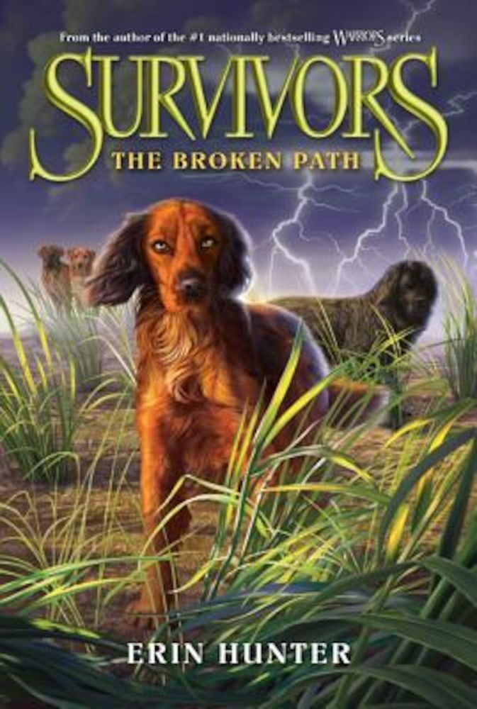 Survivors '4: The Broken Path, Paperback fotografia produsului