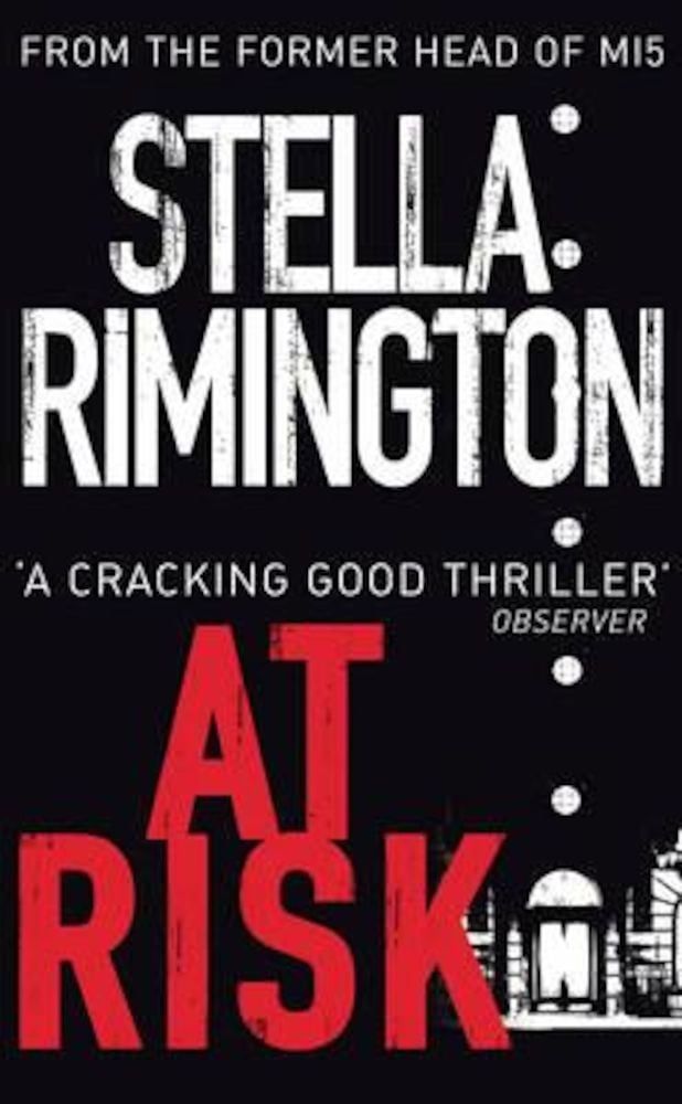 At Risk, Paperback фото продукта
