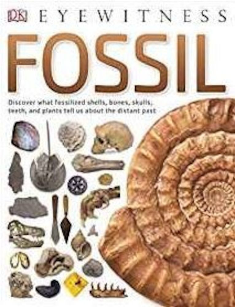Fossil фото продукта
