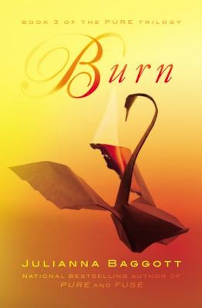Burn, Paperback фото продукта