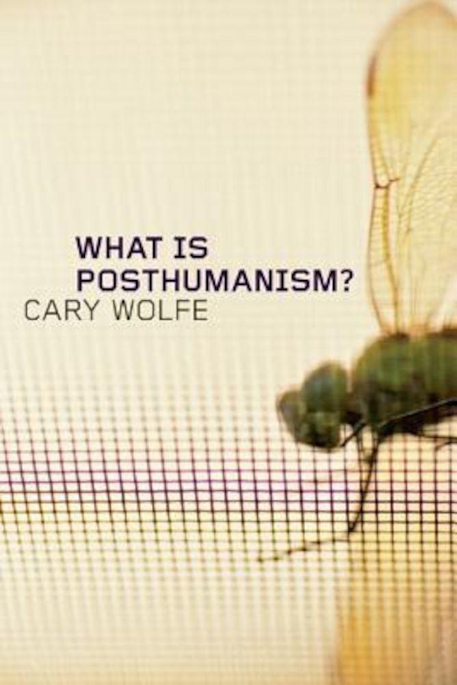 What Is Posthumanism', Paperback фото продукта