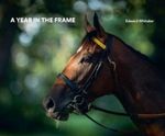 Year In The Frame fotografia produsului