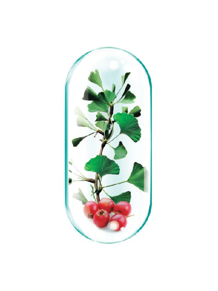 Supliment alimentar Lecitina 1200 mg ROTTA NATURA, 30 capsule fotografia produsului View 2 L